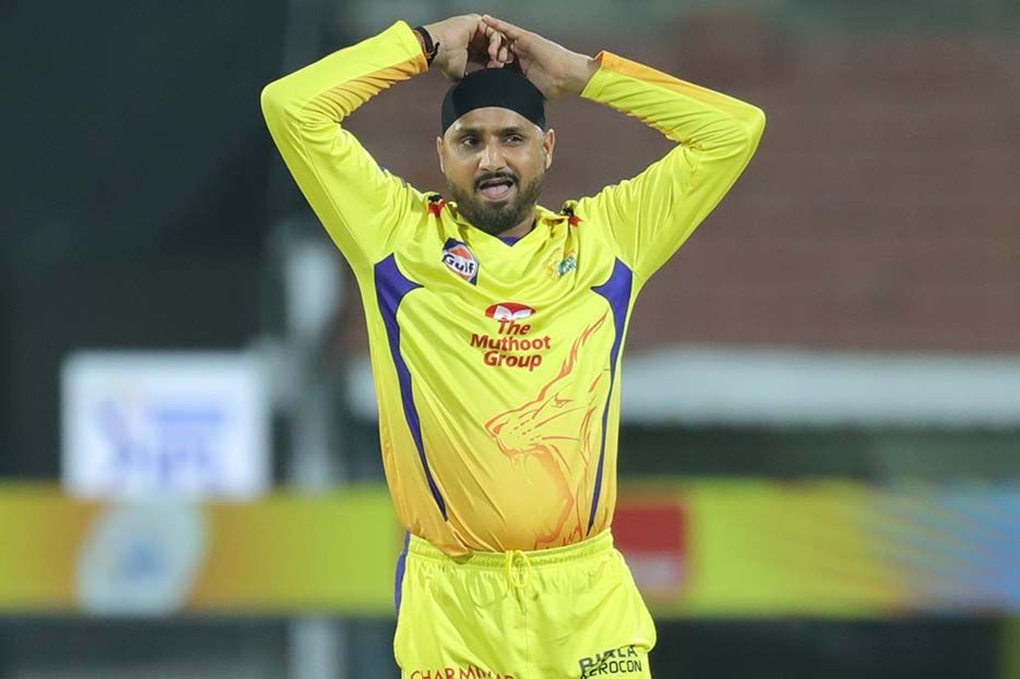 Harbhajan Singh will play for KKR this season