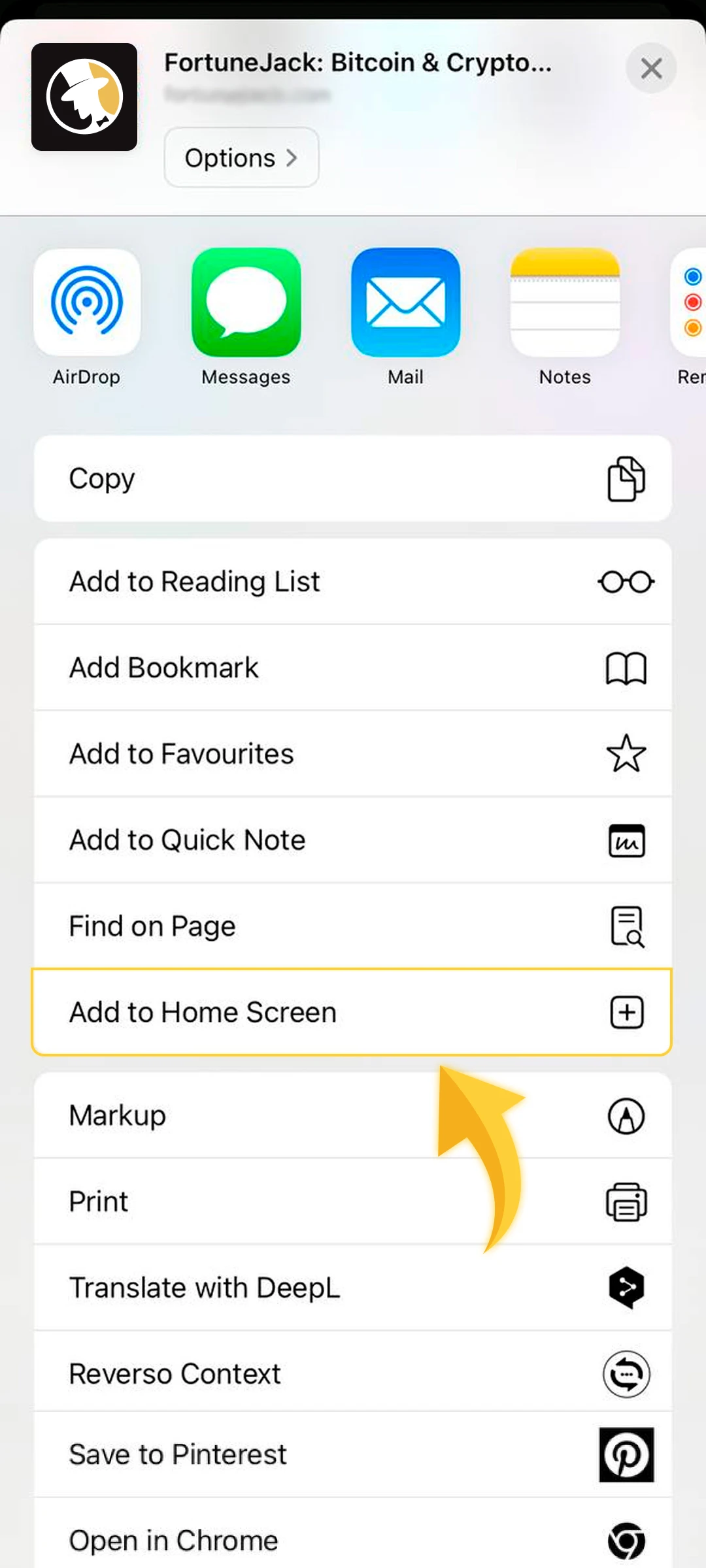 Pick “Add to Home Screen” from the menu.