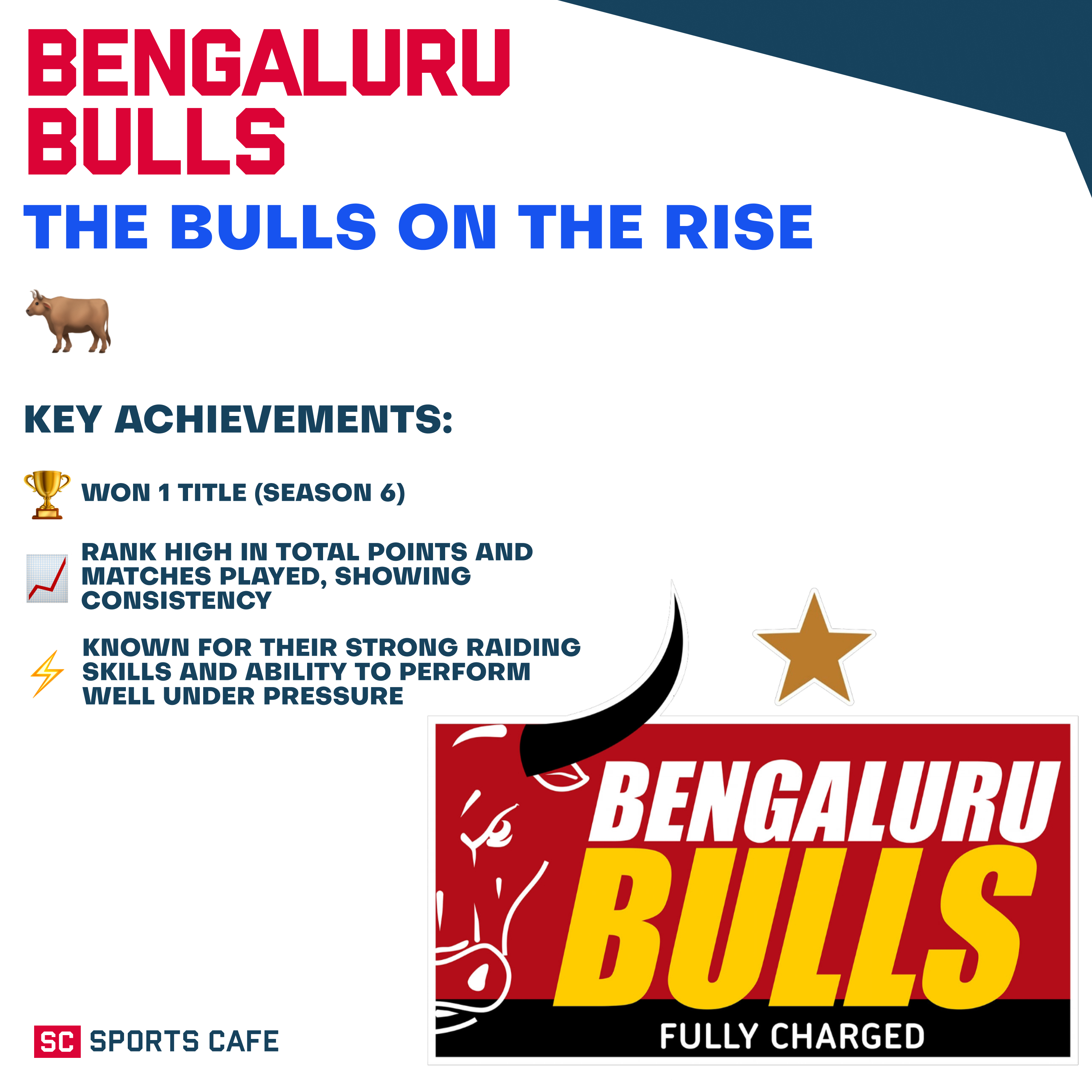 Bengaluru Bulls Best Pro Kabaddi Teams.