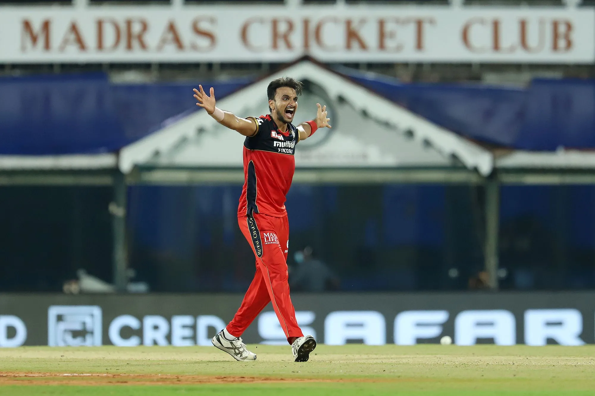Harshal Patel has picked 19 wickets in IPL 2022