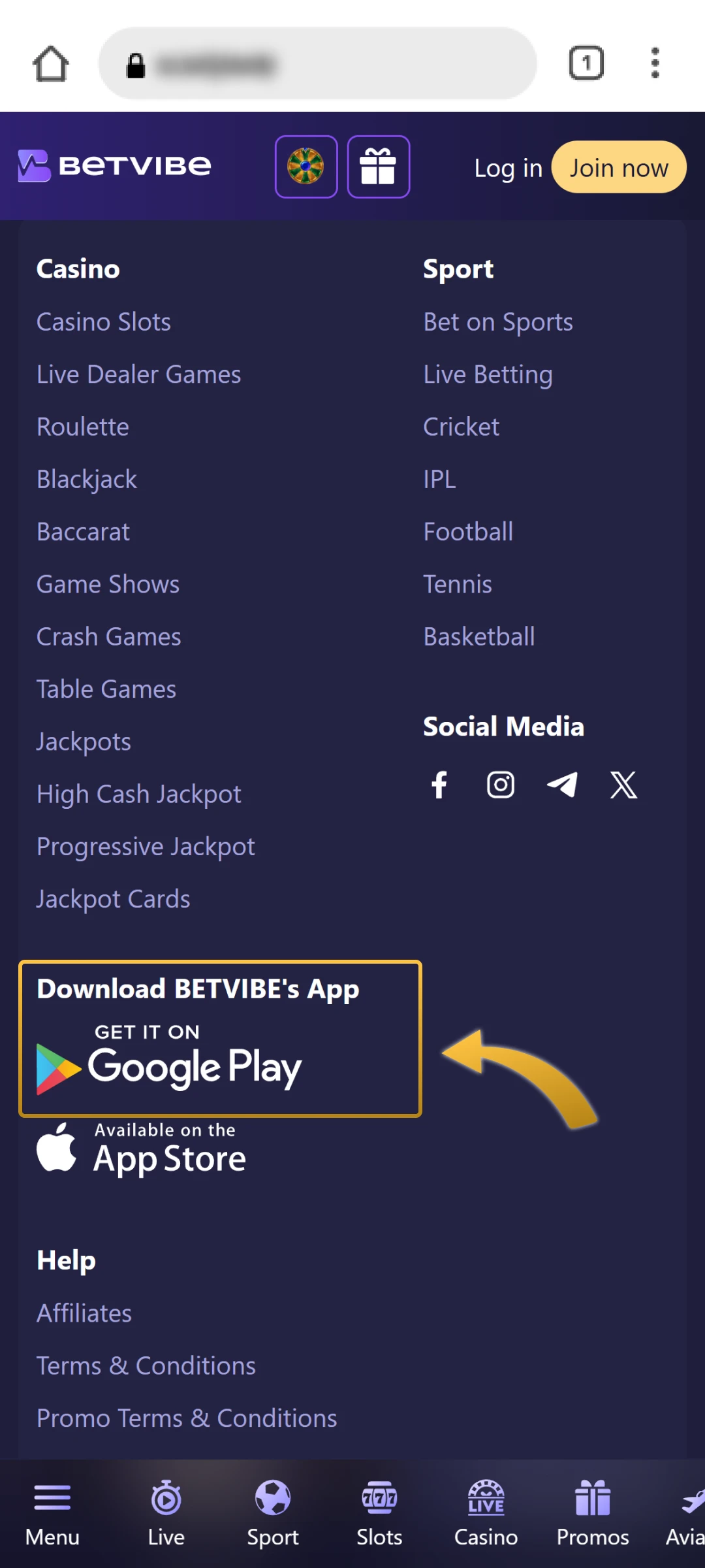 App Installation Section on Official BetVibe Website.