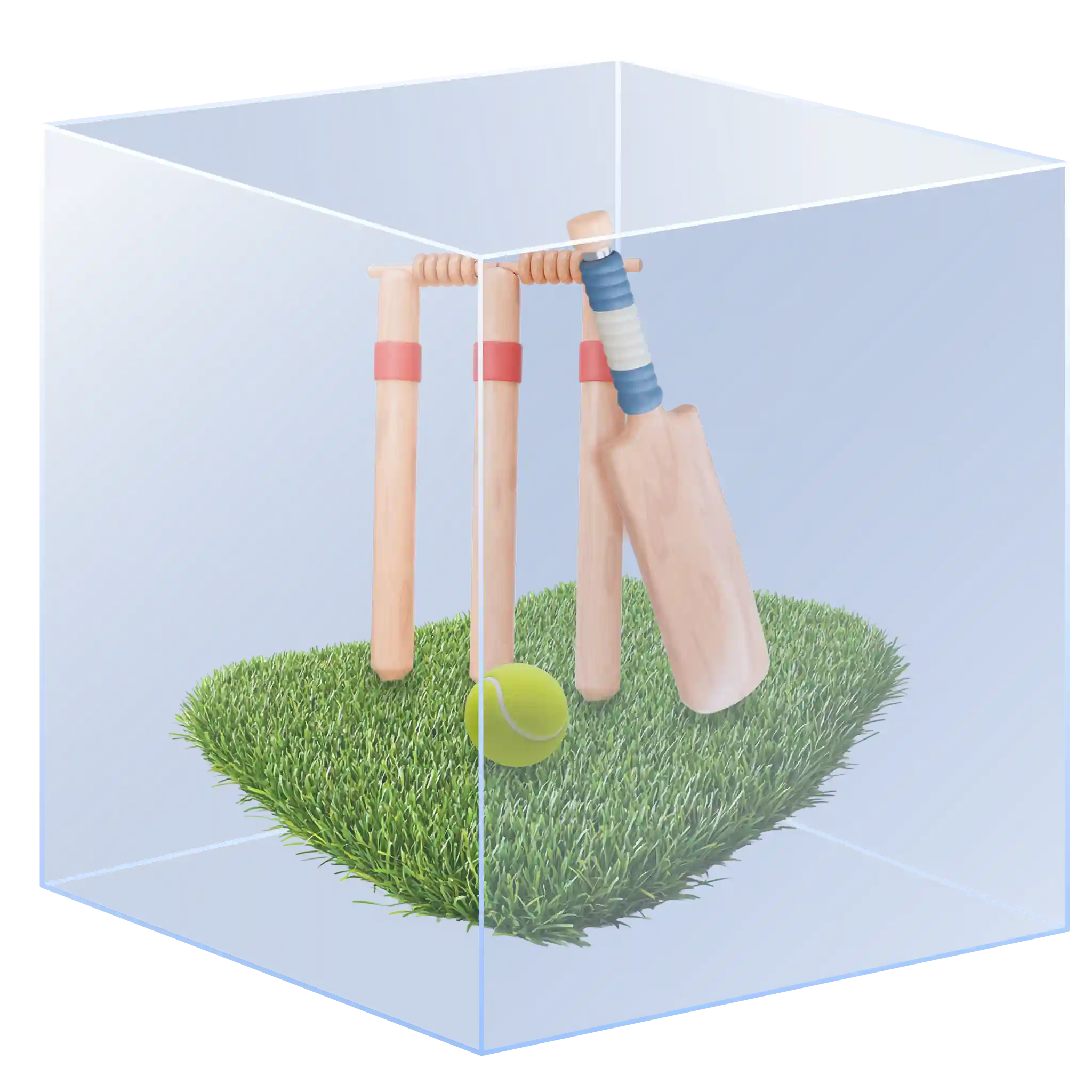 What is Box Cricket?