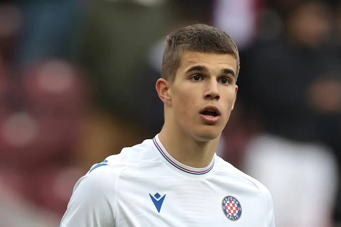 Tottenham Fear Bayern Move for Rising Star Luka Vuskovic