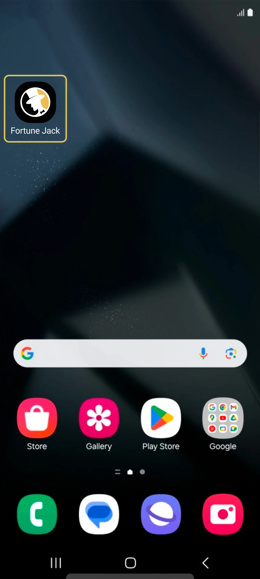The app icon will appear on the mobile home screen.