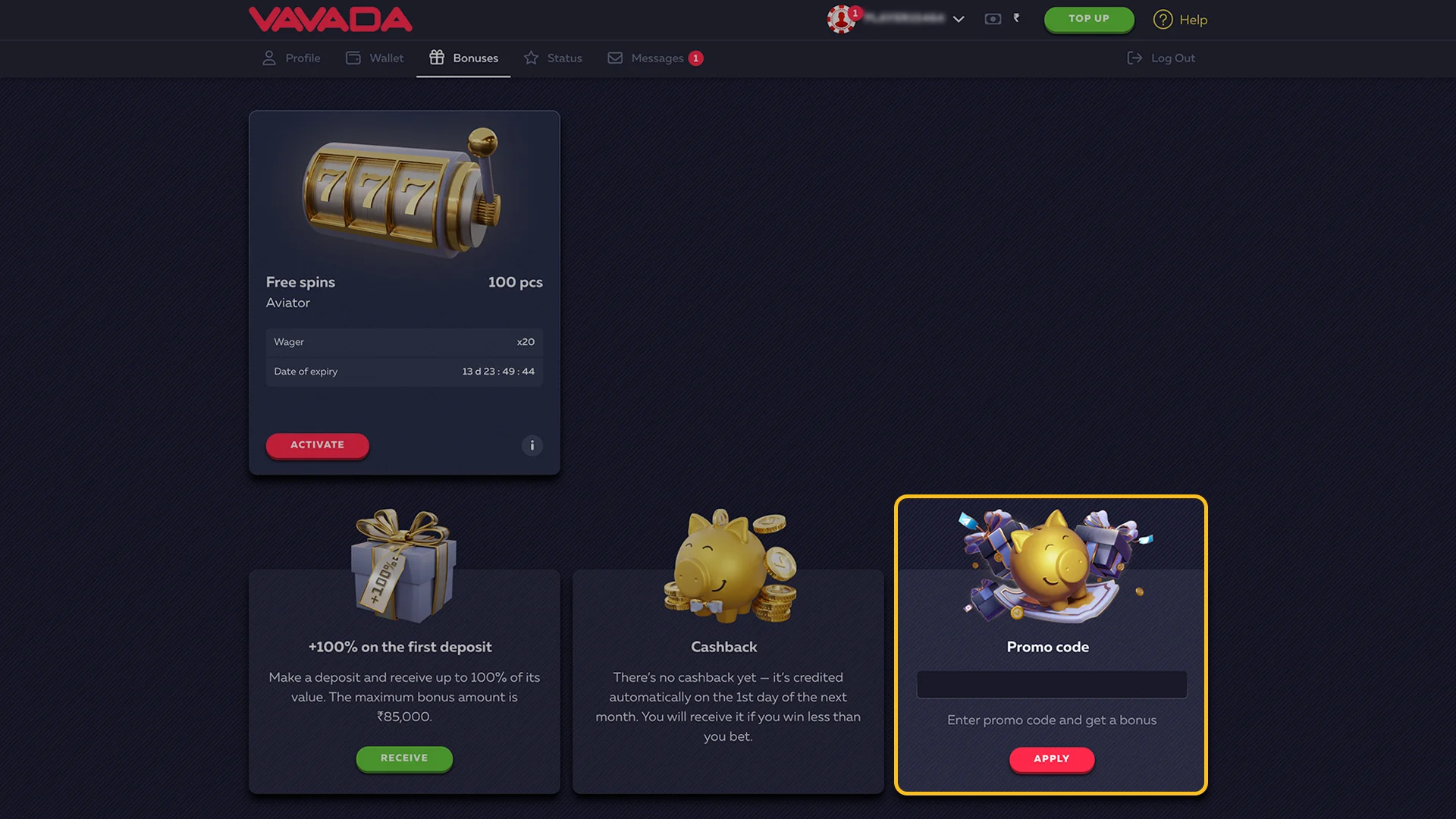 Enter the Vavada PromoCode.